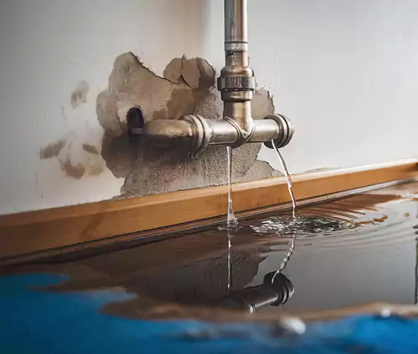 Professional Water Damage Restoration Experts in Cliffside Park, NJ — Fast, Reliable & Certified