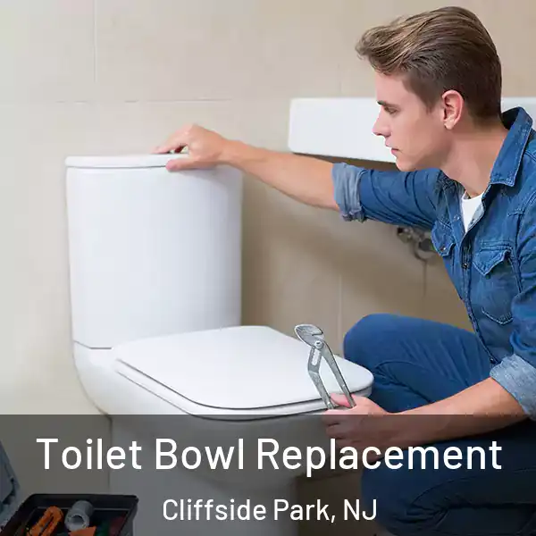  Toilet Bowl Replacement Cliffside Park, NJ